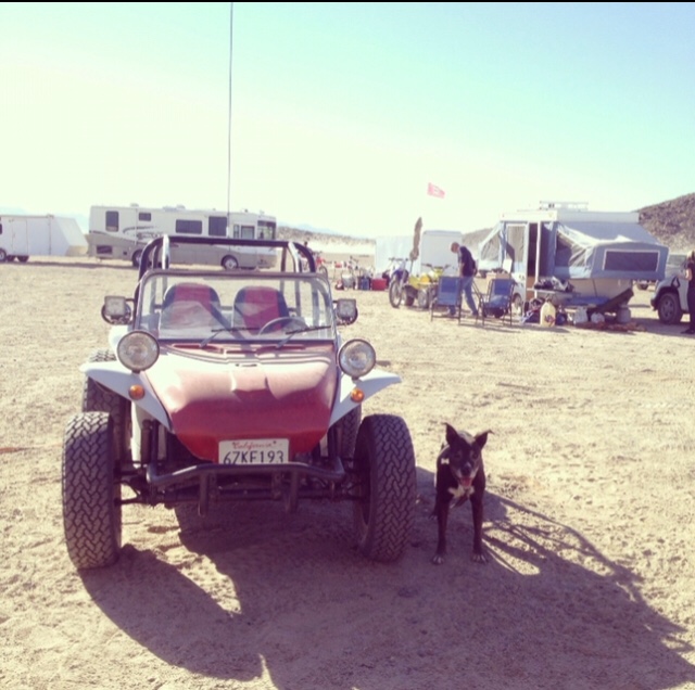 Manx Buggy